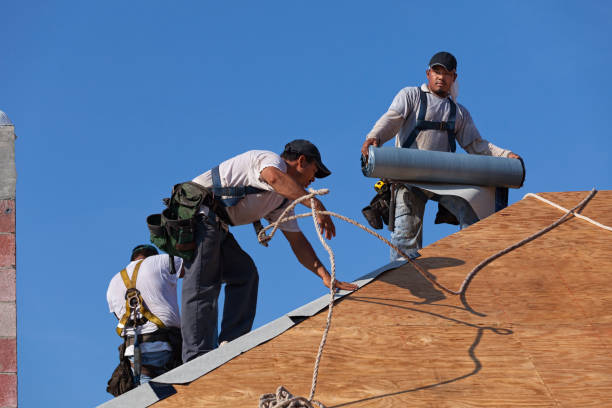 Best Metal Roofing Contractor  in Memphis, FL