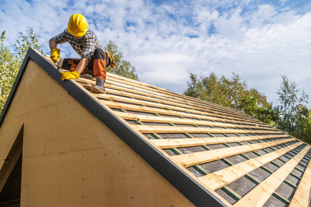 Best Roof Maintenance Services  in Memphis, FL