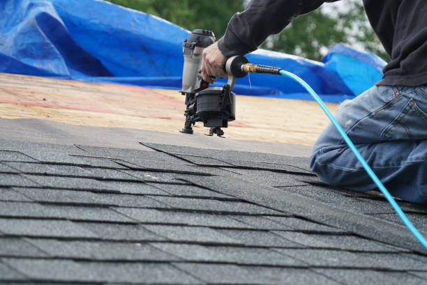 Best Roof Gutter Cleaning  in Memphis, FL
