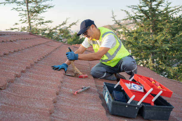 Roof Gutter Cleaning in Memphis, FL
