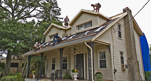 Best Roof Leak Repair  in Memphis, FL